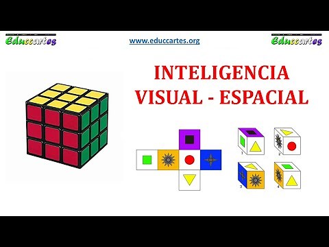 10 Inteligencia Visual Espacial