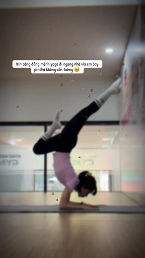 Bay đi đâu? Pincha chờ đó =))) #yoga #yogateacher #viral #YogaTaiNha #xuhuong #pincha