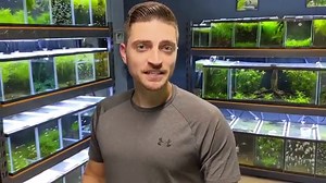 Fish Room Build! Building A New Rack and Painting Aquarium Backgrounds