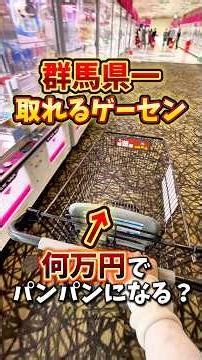 [Arcade] Testing How Much It Costs to Fill a Shopping Cart at the Easiest Claw Machine Arcade in ...