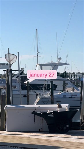 Back to normal programming for a bit #ditl #betsyray