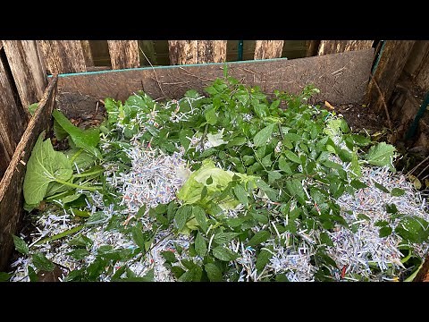 Shredded Paper in your Compost with The Stupid Gardener ‪@thestupidgardener4642‬
