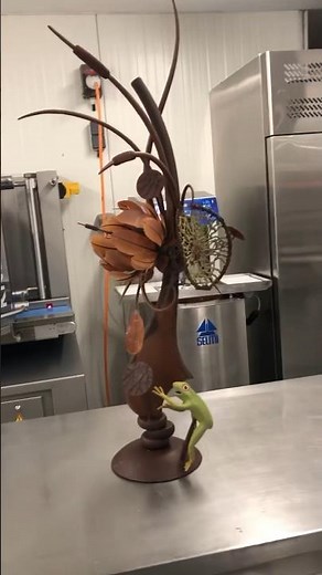 Chocolate frog ! 🐸