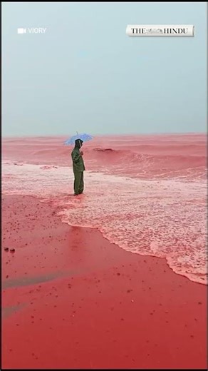 Rain turns Iran’s Hormuz Island beach red