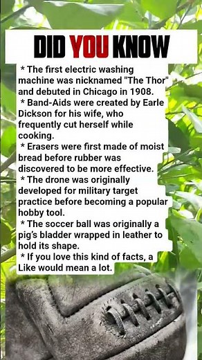 The surprising history behind everyday objects! 📜
