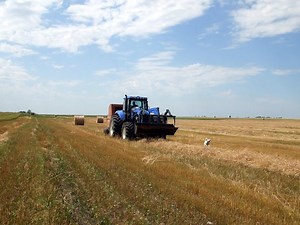 Doug Cuthand: First Nations people struggled under farming treaties