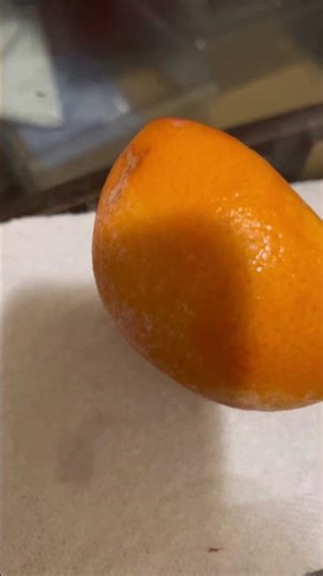 Red Berry and Ruby Grapefruit #sorbet