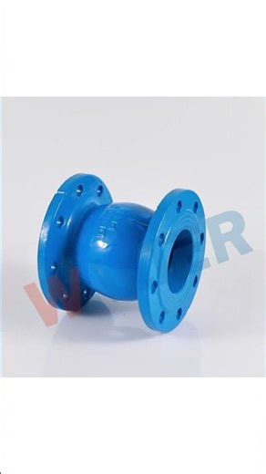 🔥 Keep Your Pipes in Check with Walter's Silent Check Valve!