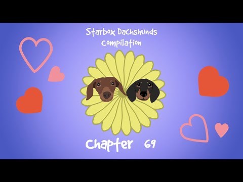 Starbox Dachshunds Compilation Chapter 69