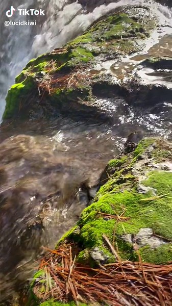 Kerosene Creek: Hidden Hot Spring in Rotorua