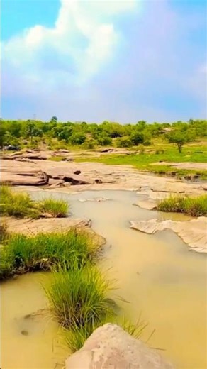 Seekho App download Karen Ham Log Ghumne Aaye Hai #shorts#funnyvideos #funnyreel #newreel