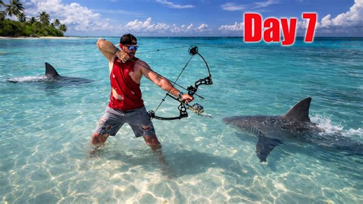 Chasing the largest bull shark: 7-day ocean hunt