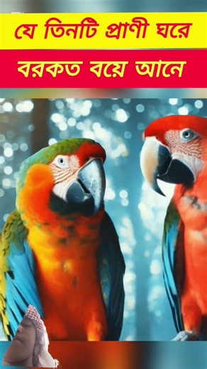 subscribe please 🕋🕋🕌🕋🕌💕💕