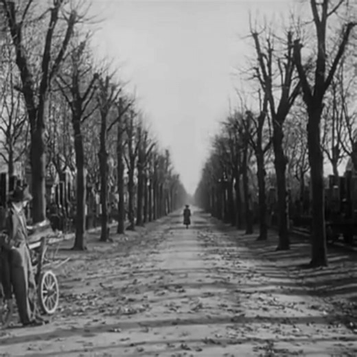 Remembering Allida Valli, who passed this day 4/22/2006..the beautiful and brilliant actress was a star in both Europe and the US..including this memorable scene from the end of "The Third Man" Do you think this was the best character exit in film?