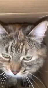 The light at the end of the tunnel! https://imgur.com/gallery/NURtM8d | Imgur