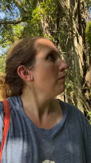 Meet Jasper ... A sweet darling boy dumped in Murwillumbah, 3 hours away from us. Not only had this young boy been left to fend for himself, he also was injured and appeared to have a sore leg. It can be hard to get away from the hen haven but knowing this poor boy was out there and injured was a huge worry. We even thought at one stage that he'd been killed by a predator when a bunch of feathers were found and he was nowhere to be seen. Fortunately by the next morning he'd been spotted again an