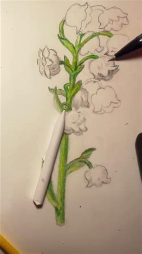 Coloring a drawing…but I don’t work with colored pencils often #coloredsketch #flower #drawing #art