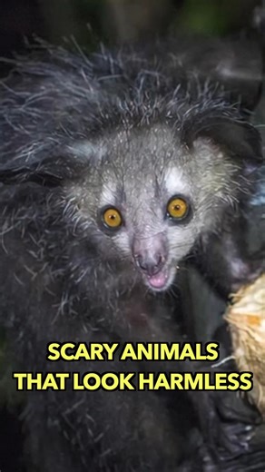 Scary Animals That Look Harmless | Engineering & Science