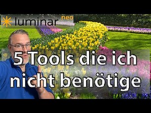 Luminar Neo cleaned up: 5 unnecessary features explained