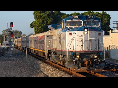 [4K] Amtrak 509 - INSANE K5LA and Pacing Action!