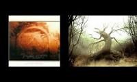 Mix of 2 videos from youtube : Afx Secret SAW II combination Tree Grass
