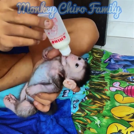 20K views · 460 reactions | Baby Monkey Bath and_ | 99TH | Facebook