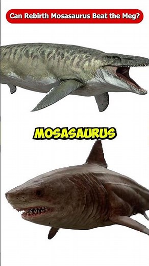 Can the Rebirth Mosasaurus Beat the Megalodon? Jurassic World Rebirth #Shorts #Viral