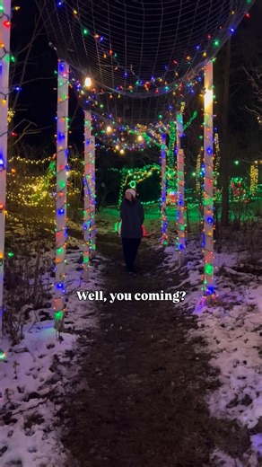 Hey Michigan on Instagram: "Comment “WINTER” and I’ll send you our Michigan Winter Guide ❄️ From skiing and dog sledding to luge runs and ice skating. - we’ve got all the ideas to help you actually enjoy winter in Michigan."