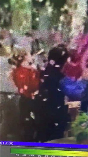 Barney Wow Great Job a Party Yay (Backwards & Speeded Up)