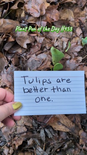 Spring Garden Humor | Tulips Are Better Than One | Plant Pun of the Day | ThePlantifulGardener