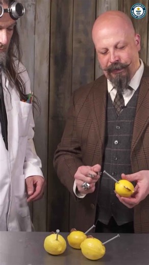 Record-Breaking Fruit Power, Light an LED with Lemons