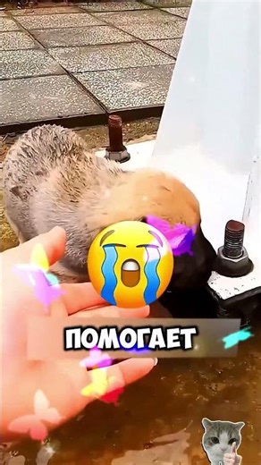 О боже он сделал невероятное!!!😨 #short