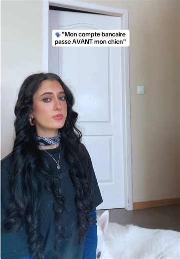 Trop compliqué 🙇‍♀️#chien #dog #bergerblancsuisse