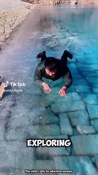 Only facts ✨ (@only.fects)’s videos with original sound - Only facts ✨