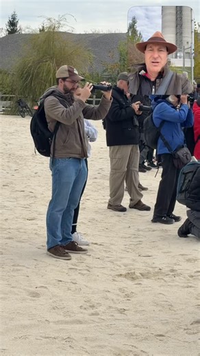 This Razorbill, a rare visitor to Ontario, thrilled crowds of birders who came to Leslie Lookout Park, in Toronto earlier this month. The razorbill is a seabird in the Alcida family, which includes Auks, Murres and Puffins. Like many birds during migration, this one veered off course on its way to winder off the on the Atlantic Ocean, off the coast of the northwestern US and Canada. The last few weeks have been a cornucopia of rare birds here in southwestern Ontario. I might not have driven to t