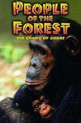 People of the Forest: The Chimps of Gombe - Movie