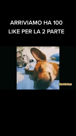 Video di Anthony Zizzo (@anthonyzizzo6) con suono originale - Anthony Zizzo