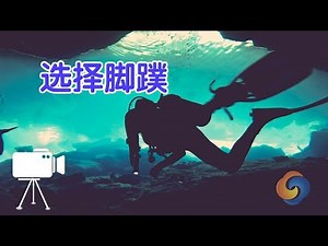 如何选择潜水脚蹼？|潜水教学Dive Skills:Diving Fins