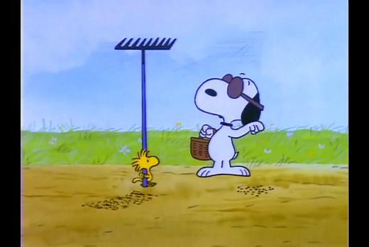 🌳 “It’s Arbor Day, Charlie Brown” (Clip) Original release: March 16, 1976 In this animated Peanuts special, Charlie Brown’s baseball team decorates the field with trees and plants. Will this help his team win? 🎥 Throughout the month of April, catch this Peanuts special playing daily in the Museum Theater! | Charles M. Schulz Museum