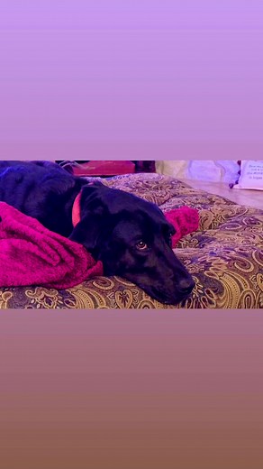 Chuck Jacobs on Reels