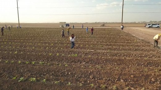 From the fields to the classroom: Inside the lives of U.S. agriculture's youngest workers