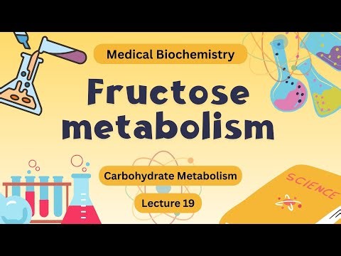 Lecture 19 | Fructose metabolism
