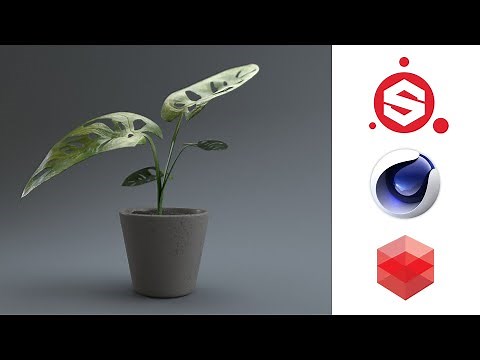 Realistic Plant Texturing and Rendering using Substance Painter, Cinema 4D, and Redshift