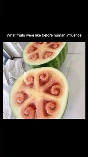 What fruits looked like before human intervention #science #agriculture