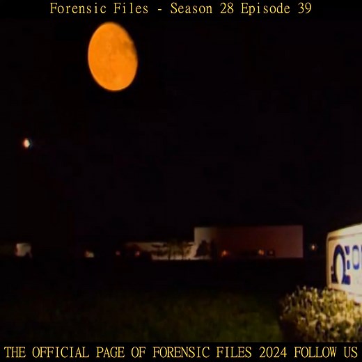 Forensic Files Season 28 Episode 39 Part 3 | Forensic Files 2024