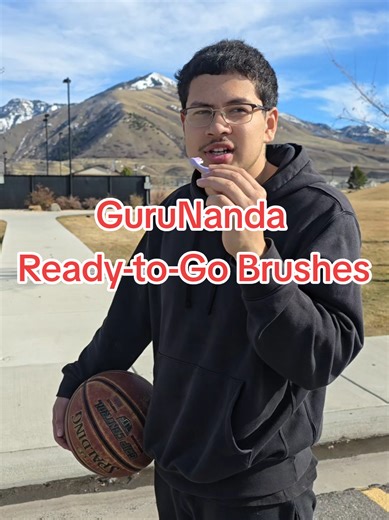 GuruNanda Ready-to-Go Brushes Review