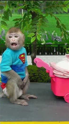 baby monkey #monkeybonbon #monkeybaby #nurseryrhymes #animalworld #monkeyisland #animalshome