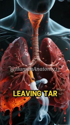 Inside the Lungs: The Hidden Damage of Smoking