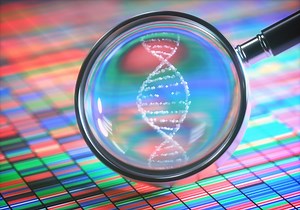 How to beat cancer? Find the genes that help it hide