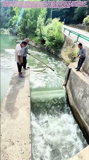 Water Management: How Temporary Barriers Control Irrigation Flow